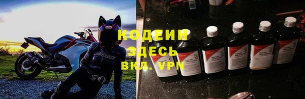 прущие грибы Абаза
