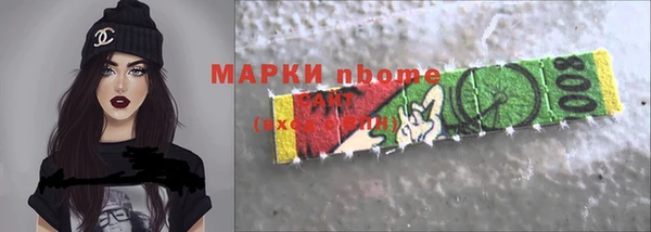 прущие грибы Абаза