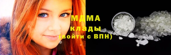прущие грибы Абаза