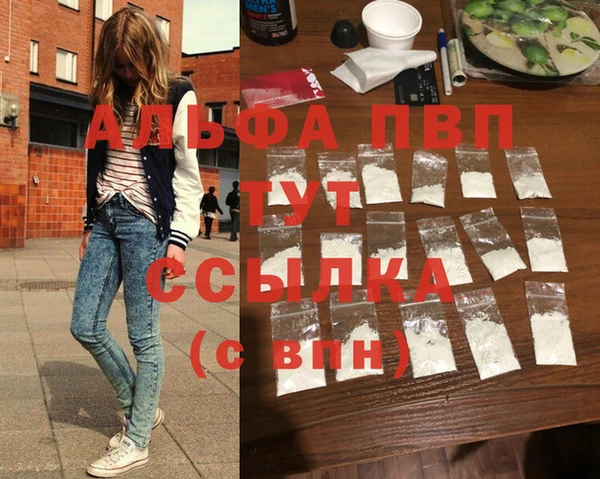 прущие грибы Абаза