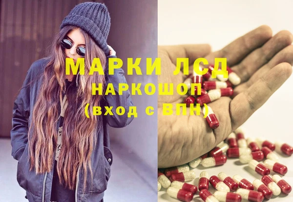 прущие грибы Абаза