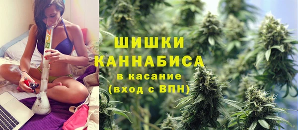 прущие грибы Абаза