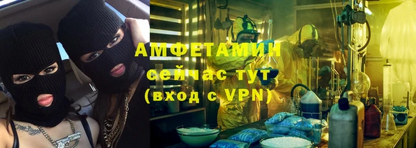 прущие грибы Абаза