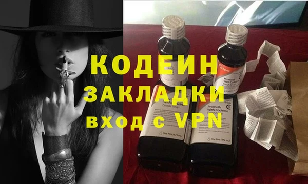 прущие грибы Абаза