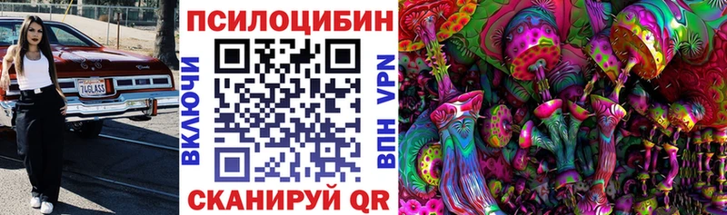 Псилоцибиновые грибы Psilocybe  где продают наркотики  Александровск 